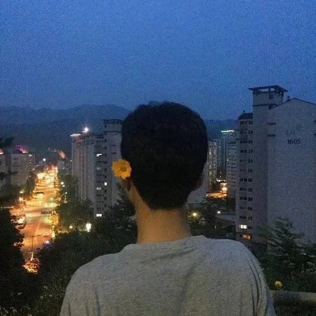 左朗琬纯